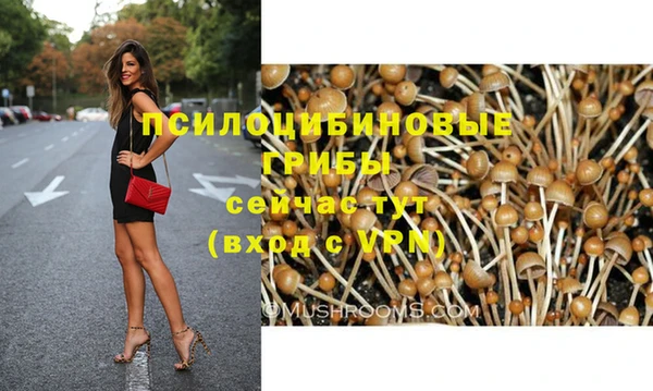 бутират Алексеевка