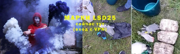 ГАЛЛЮЦИНОГЕННЫЕ ГРИБЫ Аркадак