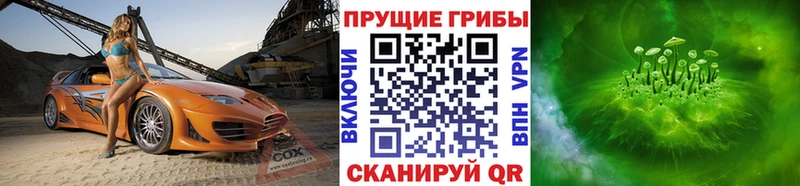 Псилоцибиновые грибы Psilocybine cubensis Байкальск